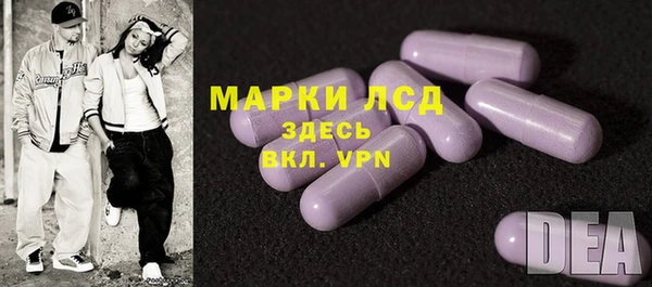 прущие грибы Беломорск