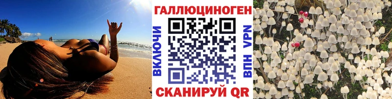 Псилоцибиновые грибы мухоморы  наркотики  Куровское 